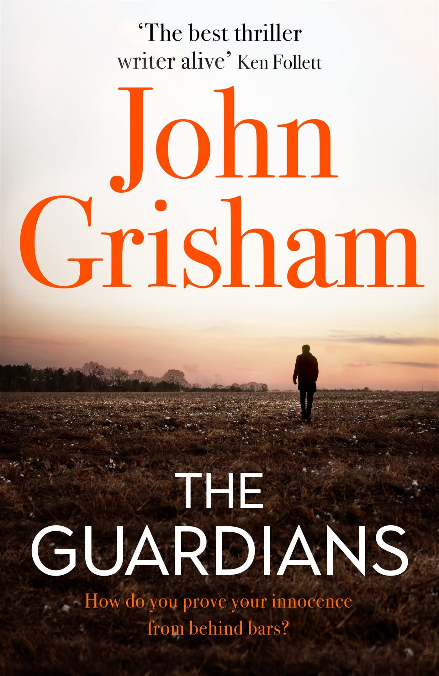 Amazon | The Guardians: The Sunday Times Bestseller | Grisham